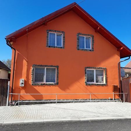 Casa Alex 호텔 Cîrţişoara 외부 사진