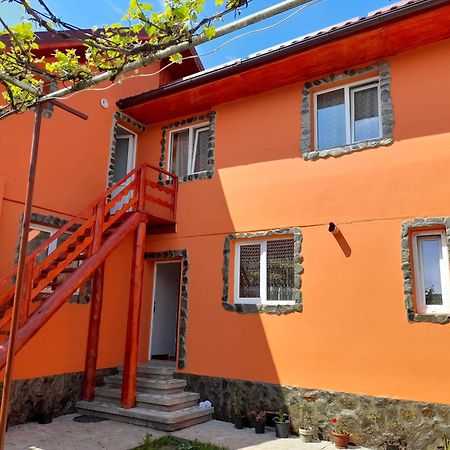 Casa Alex 호텔 Cîrţişoara 외부 사진