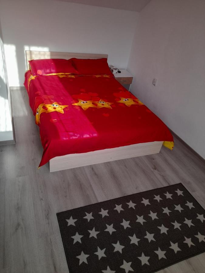 Casa Alex 호텔 Cîrţişoara 외부 사진