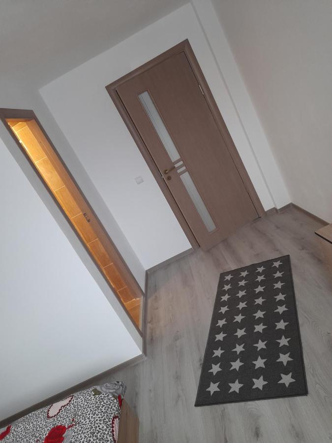 Casa Alex 호텔 Cîrţişoara 외부 사진