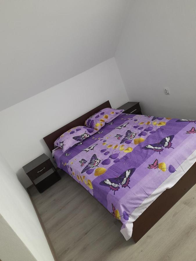 Casa Alex 호텔 Cîrţişoara 외부 사진
