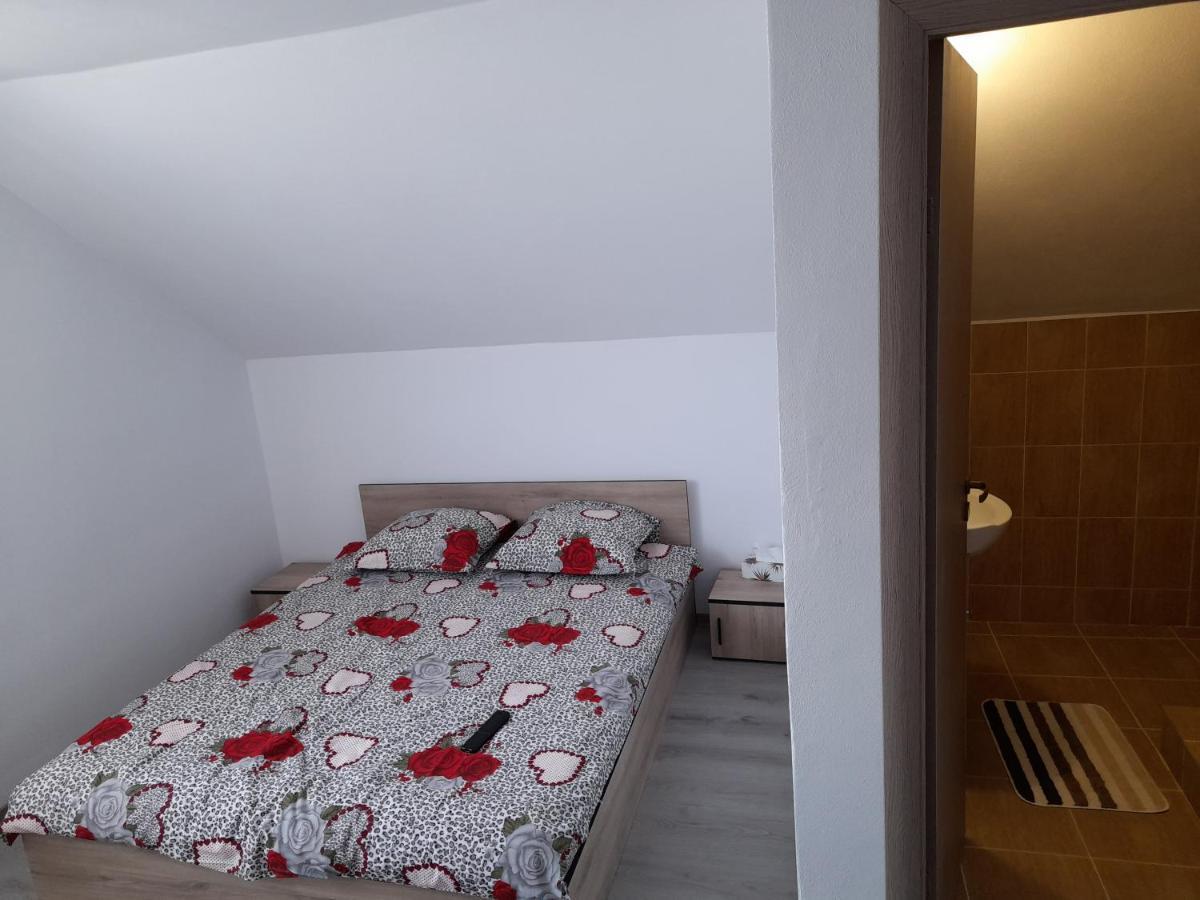Casa Alex 호텔 Cîrţişoara 외부 사진