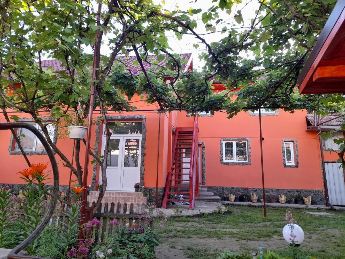 Casa Alex 호텔 Cîrţişoara 외부 사진