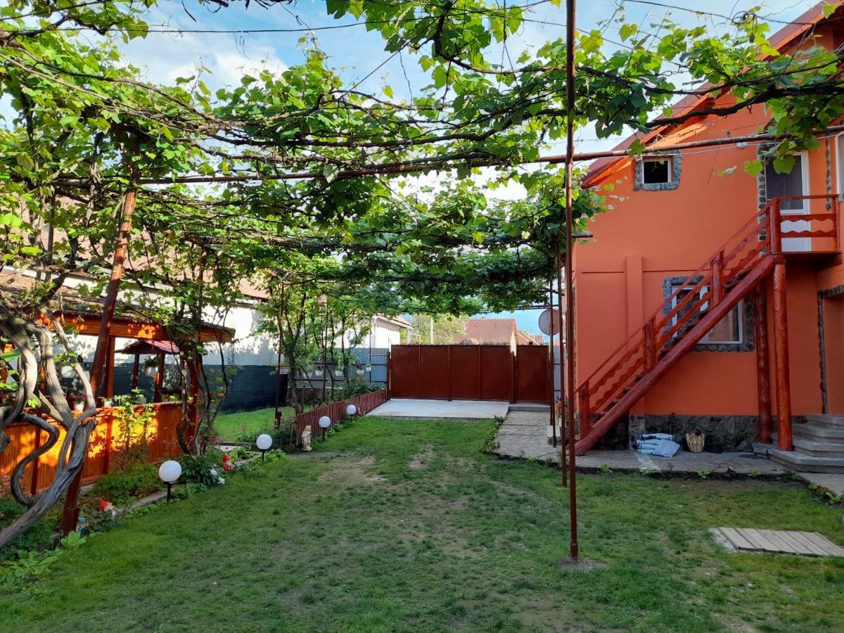Casa Alex 호텔 Cîrţişoara 외부 사진