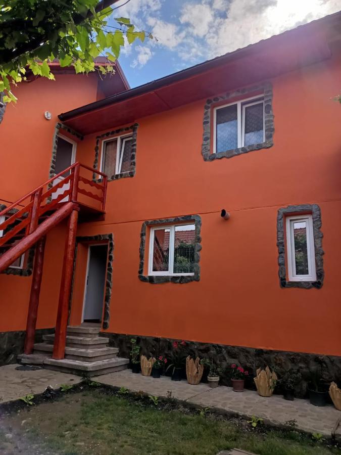 Casa Alex 호텔 Cîrţişoara 외부 사진