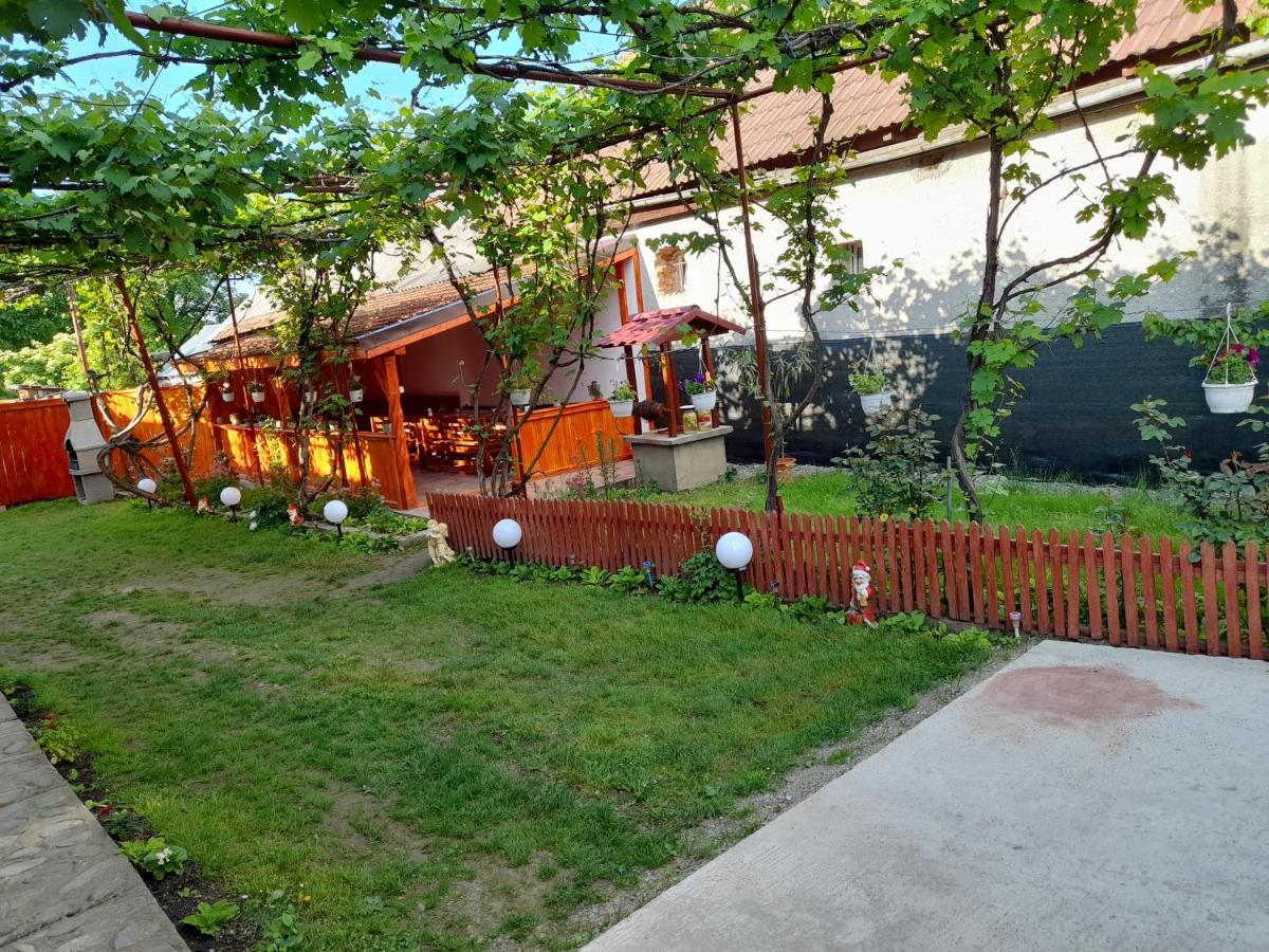 Casa Alex 호텔 Cîrţişoara 외부 사진