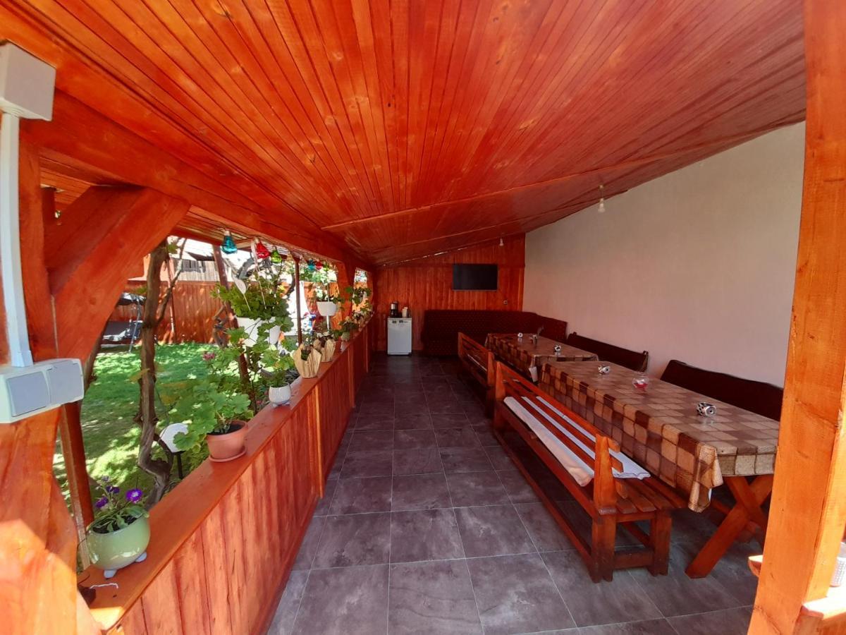 Casa Alex 호텔 Cîrţişoara 외부 사진