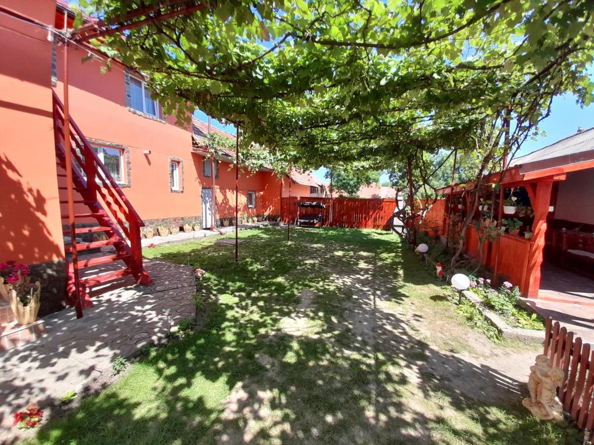 Casa Alex 호텔 Cîrţişoara 외부 사진