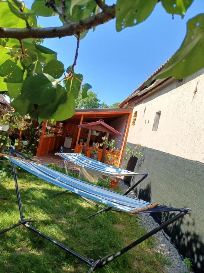 Casa Alex 호텔 Cîrţişoara 외부 사진