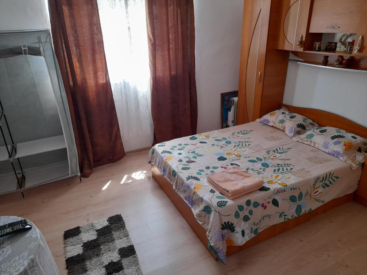 Casa Alex 호텔 Cîrţişoara 외부 사진