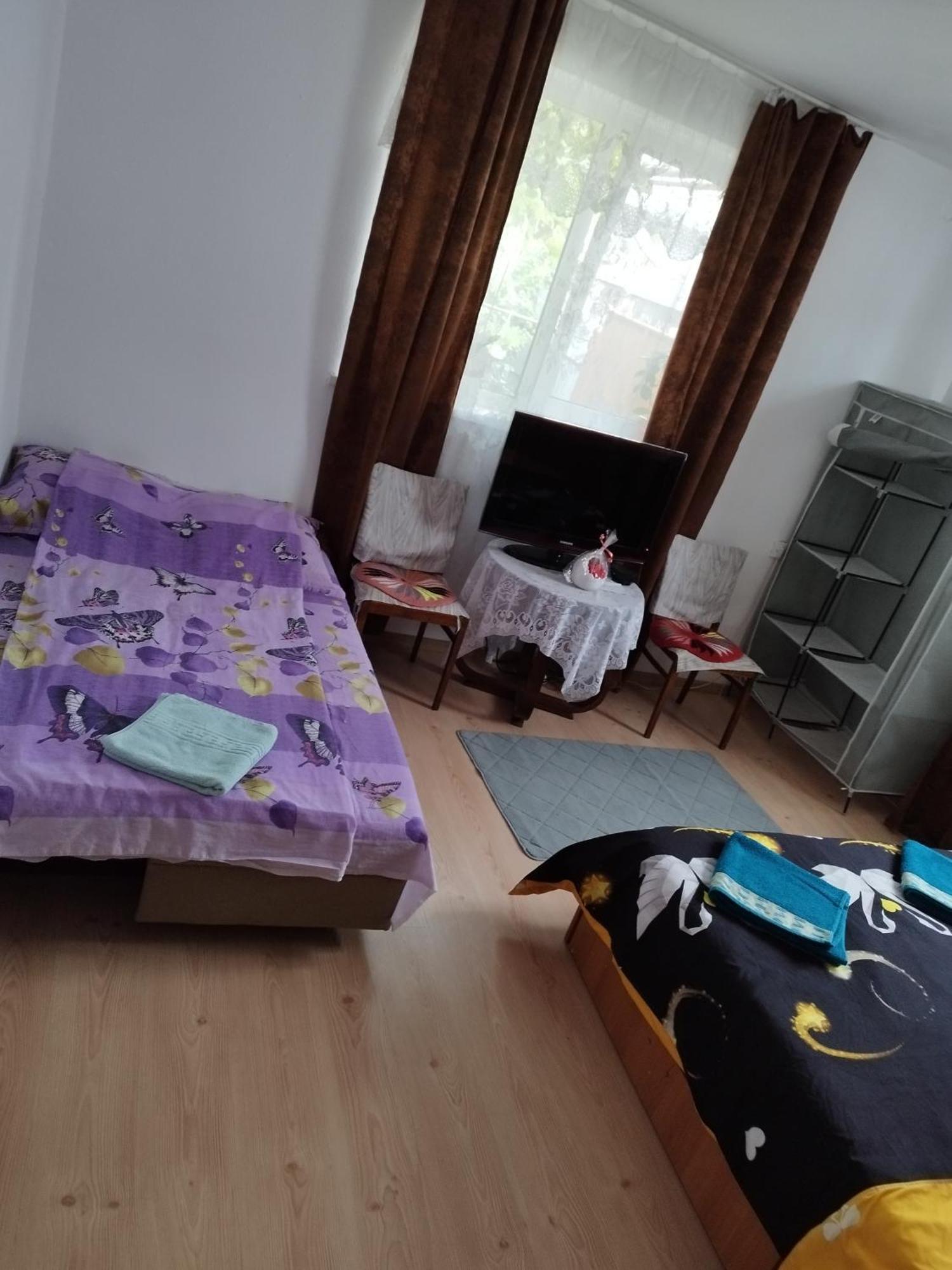 Casa Alex 호텔 Cîrţişoara 외부 사진