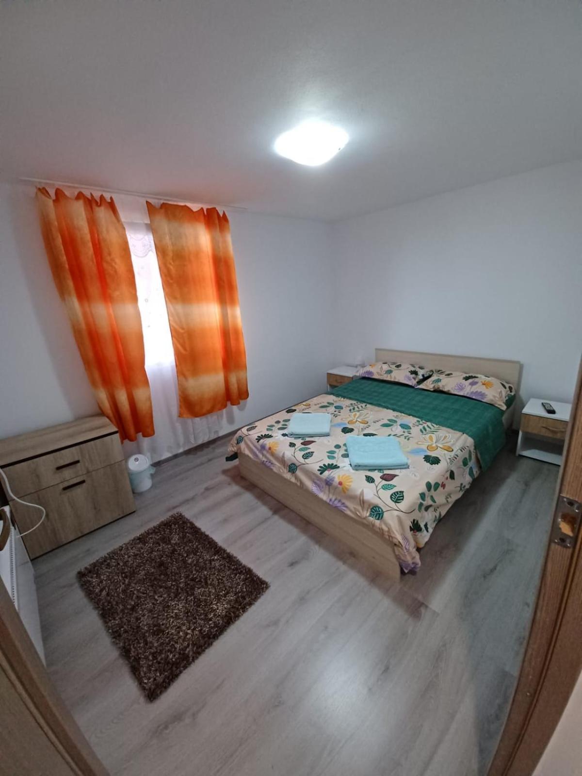 Casa Alex 호텔 Cîrţişoara 외부 사진