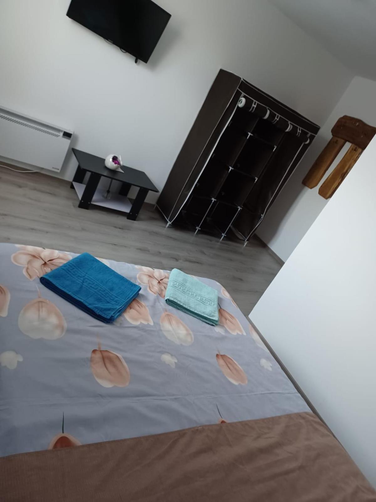 Casa Alex 호텔 Cîrţişoara 외부 사진