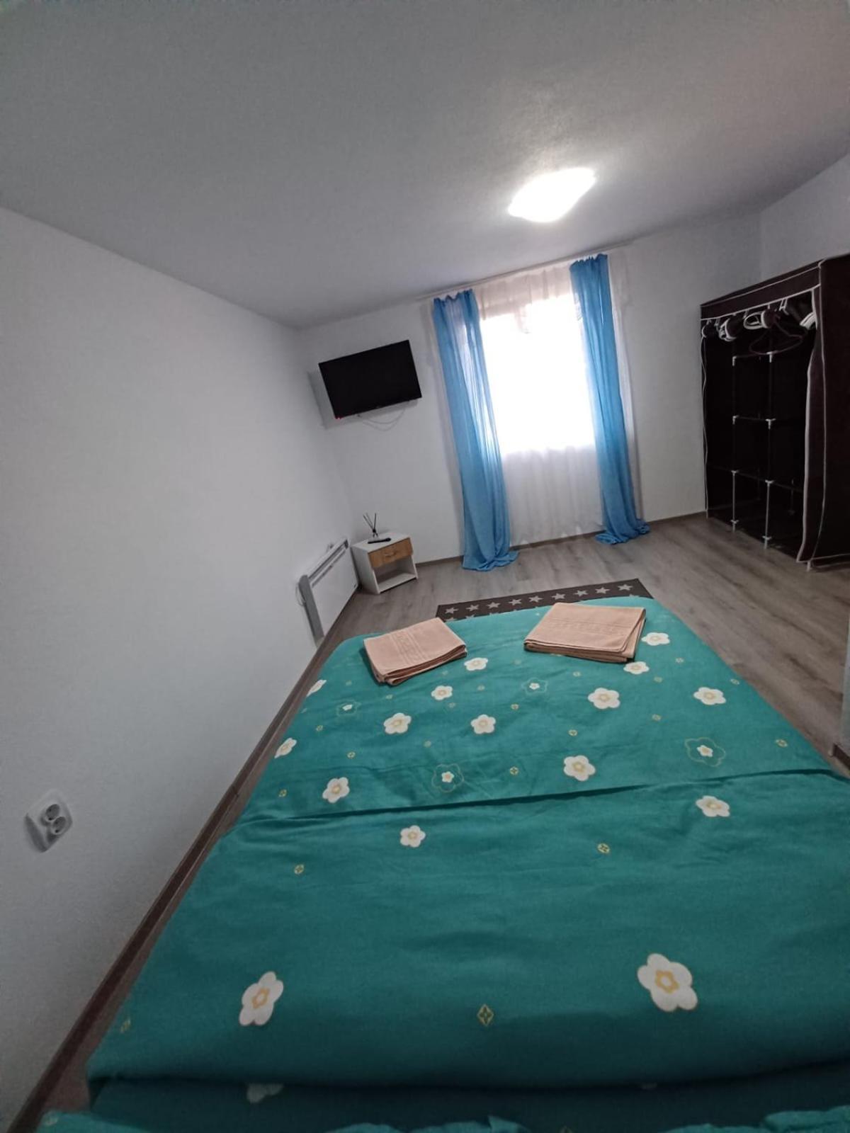 Casa Alex 호텔 Cîrţişoara 외부 사진