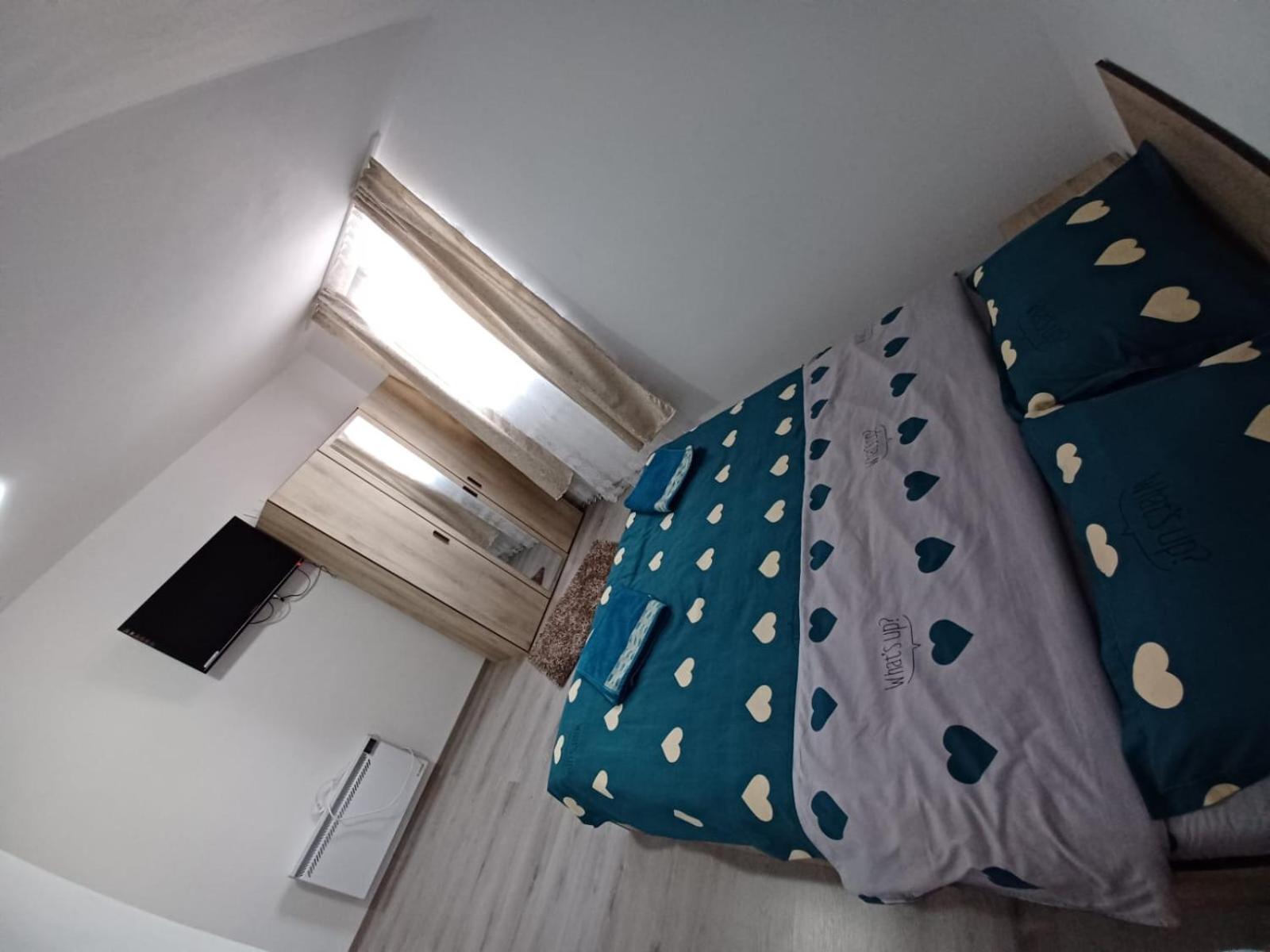 Casa Alex 호텔 Cîrţişoara 외부 사진