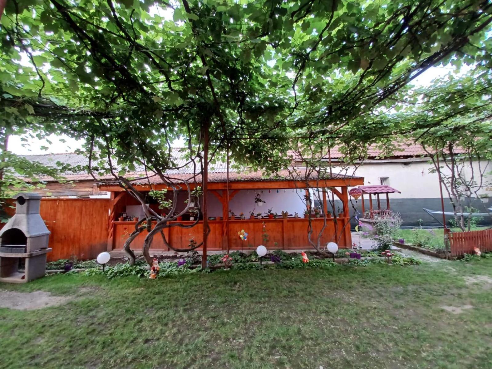 Casa Alex 호텔 Cîrţişoara 외부 사진