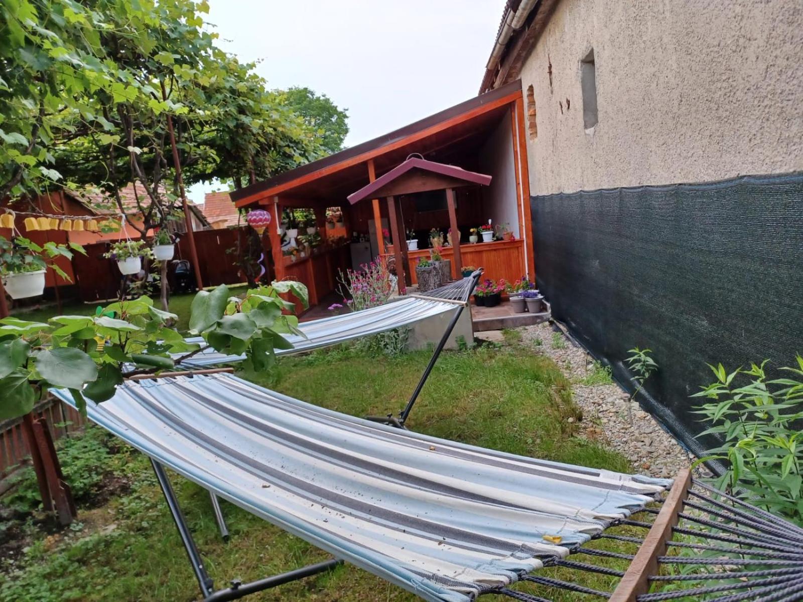 Casa Alex 호텔 Cîrţişoara 외부 사진
