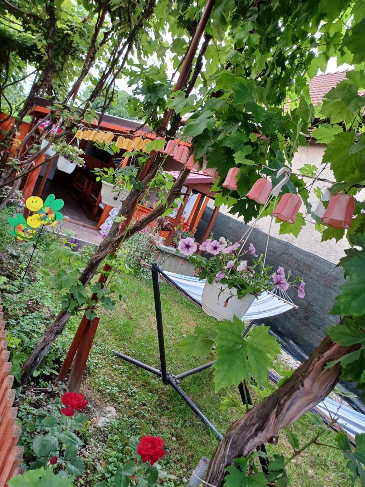 Casa Alex 호텔 Cîrţişoara 외부 사진