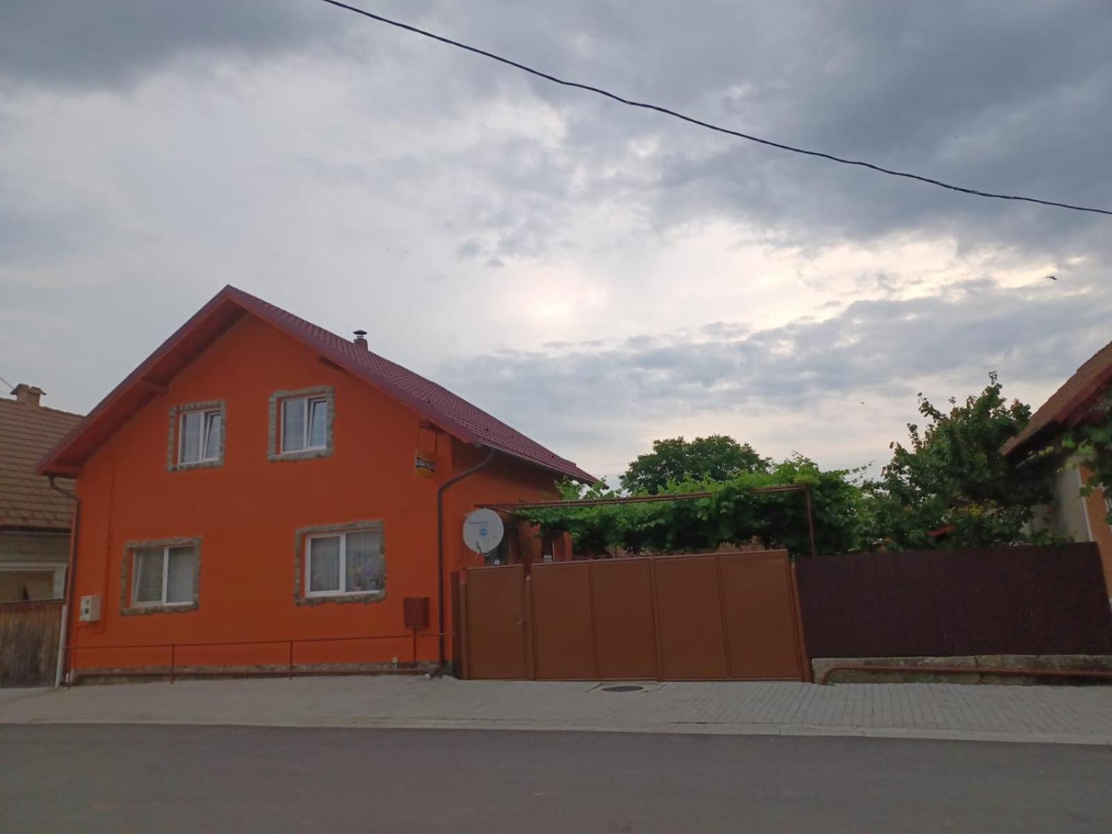 Casa Alex 호텔 Cîrţişoara 외부 사진